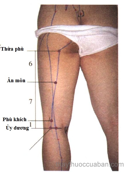 Vị trí huyệt ân môn