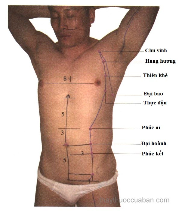 Vị trí huyệt đại bao