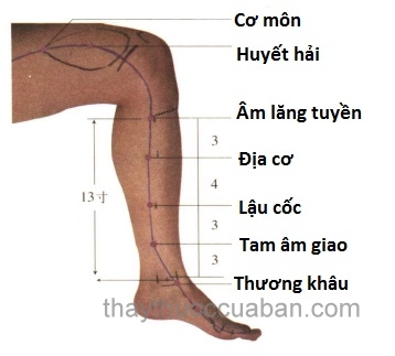 Vị trí huyệt lậu cốc