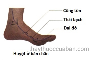 Vị trí huyệt công tôn