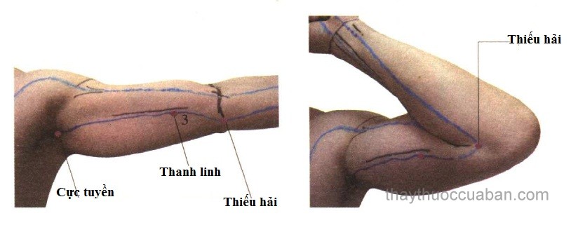 Vị trí huyệt cực tuyền