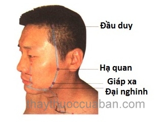 Vị trí huyệt đầu duy