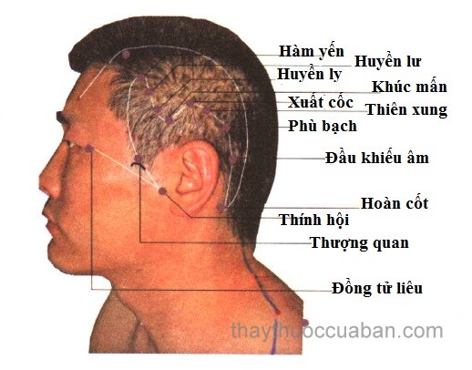 Vị trí huyệt khúc tân, khúc mấn