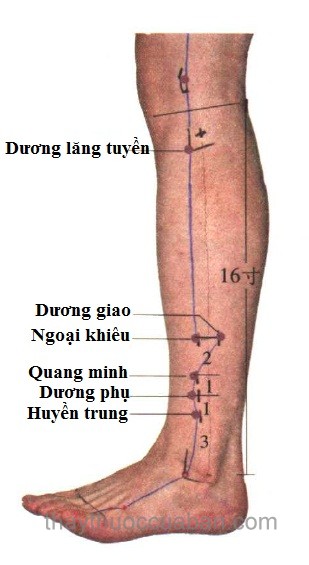 Vị trí huyệt ngoại khâu