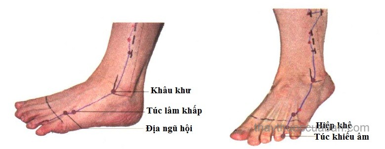 Vị trí huyệt hiệp khê