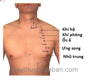 Vị trí huyệt ốc ế