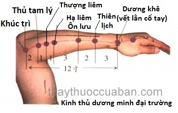 Vị trí huyệt Hạ liêm