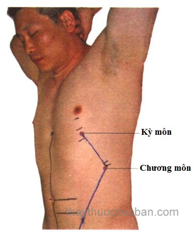 Vị trí huyệt kỳ môn