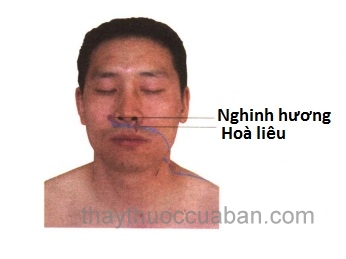 Vị trí huyệt nghinh hương