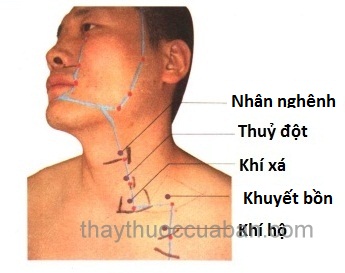 Vị trí huyệt Khí xá