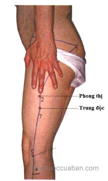 Vị trí huyệt Phong thị