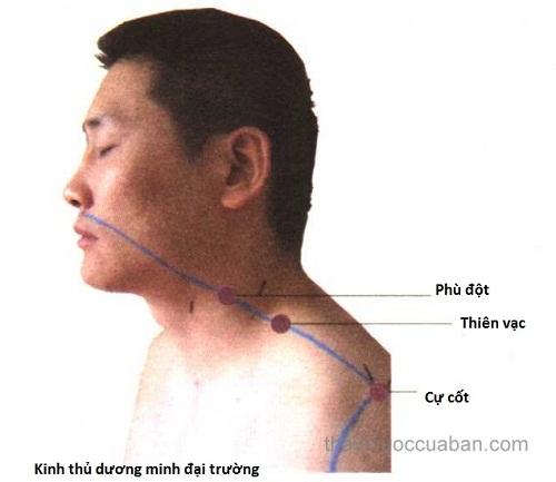 Vị trí huyệt Phù đột