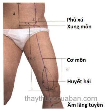 Vị trí huyệt Xung môn