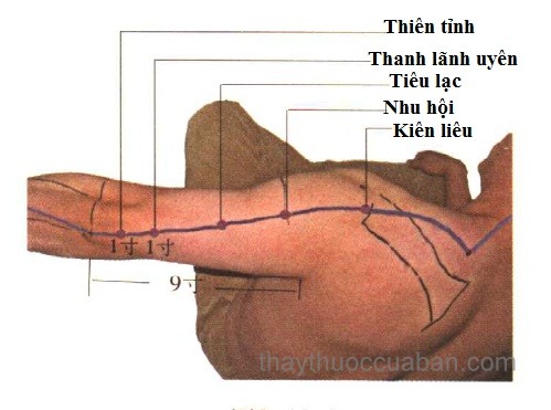 Vị trí huyệt Nhu hội