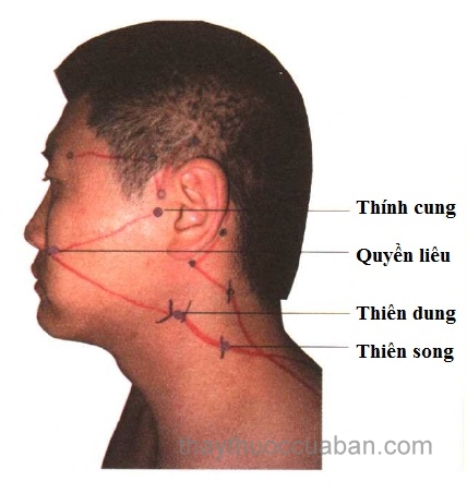 Vị trí huyệt Quyền liêu