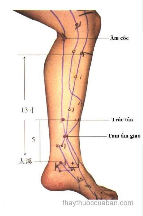 Cách xác định huyệt Âm cốc