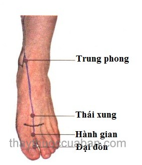 Vị trí huyệt Hành gian