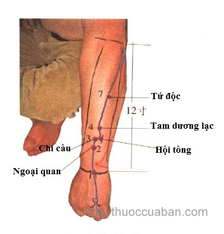 Vị trí huyệt Chi câu