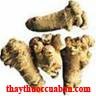Tam thất, tam that, tamthat, Radix Notoginsing, Panax notoginseng (Burk) F.H. Chen