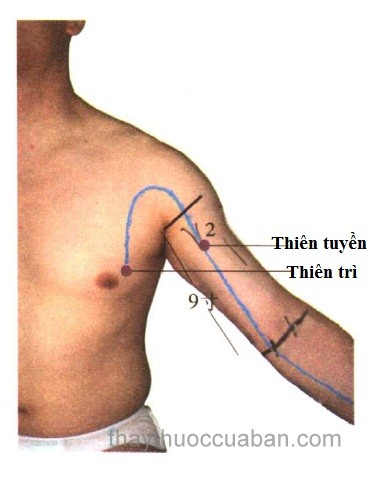 Vị trí huyệt Thiên trì