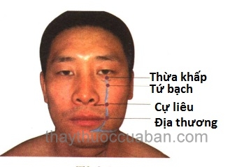 Vị trí huyệt tứ bạch