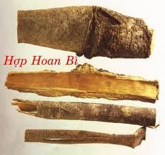 Vị thuốc hợp hoan b&igrave;